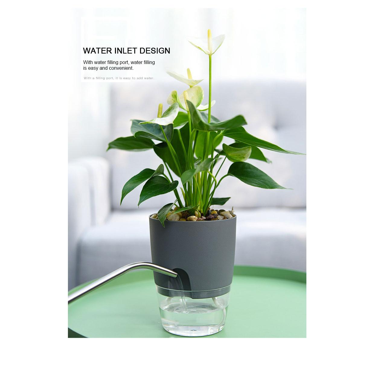 Self Watering Transparent Planter Container With Detachable Inner Basin